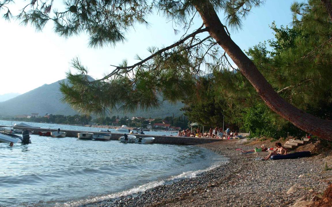 Photo of Others in Seline