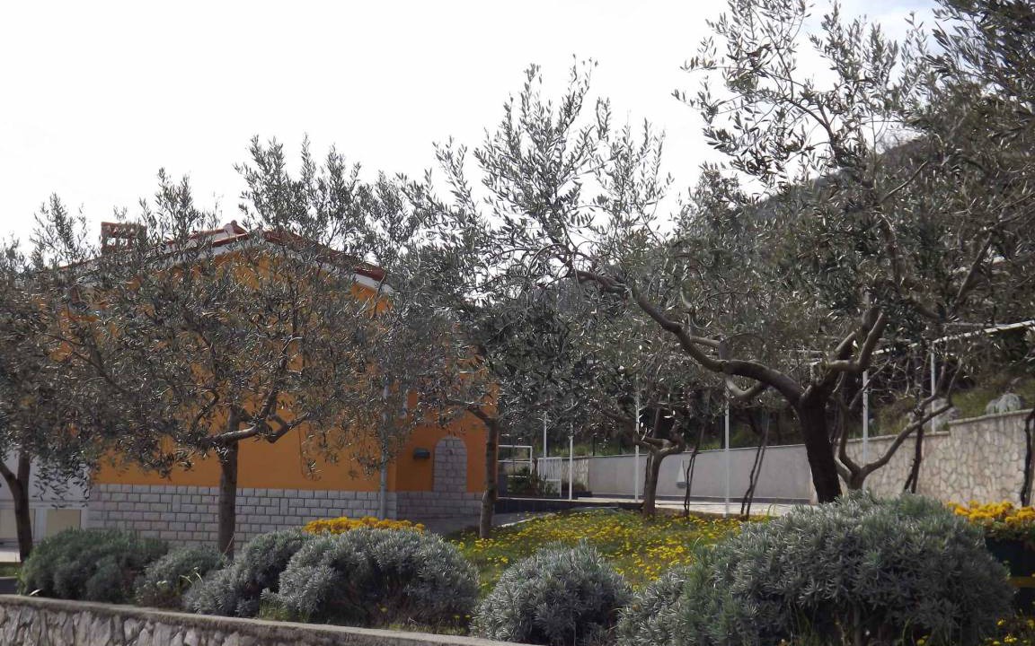 Photo of Buildings in Ravni