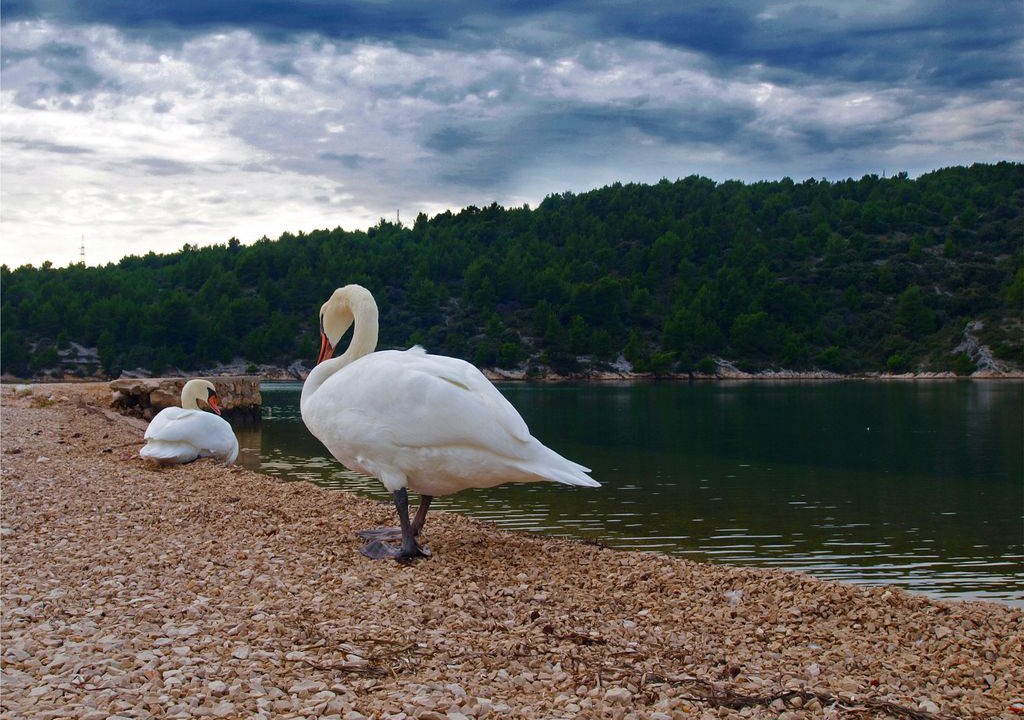 Photo of Others in Jadrtovac