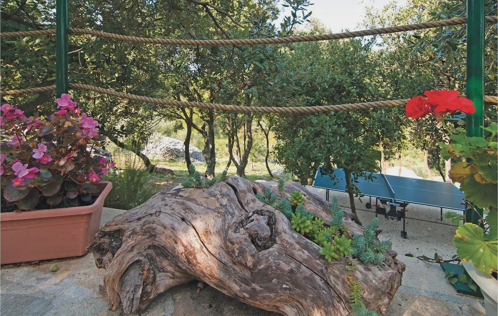 Photo of Others in Pucisca