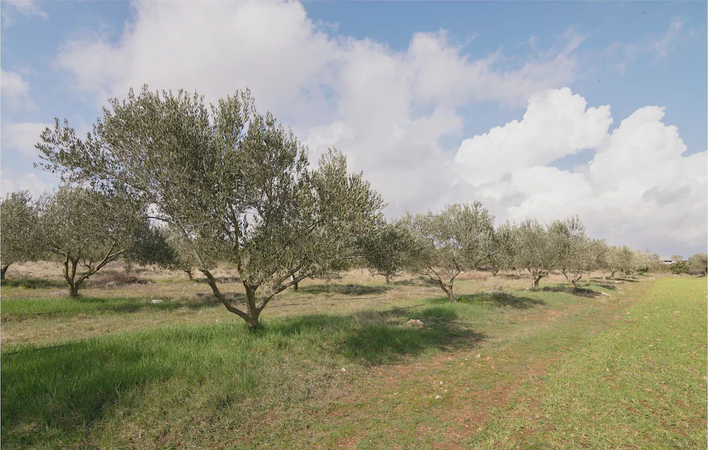 Photo of Outdoor in Tinj