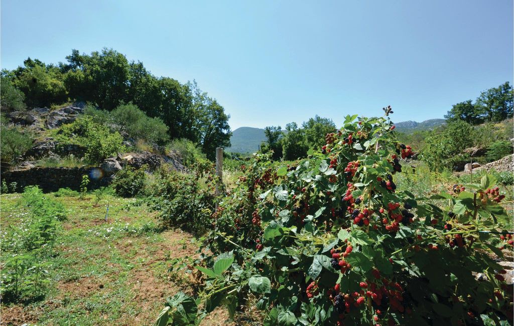 Photo of Outdoor in Kucice