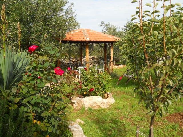 Photo of Buildings in Sutomiscica