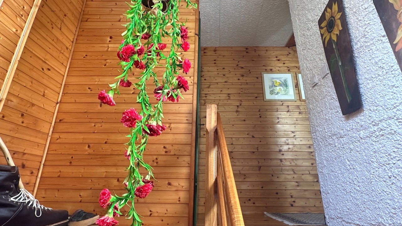 Photo of Others in Bovec