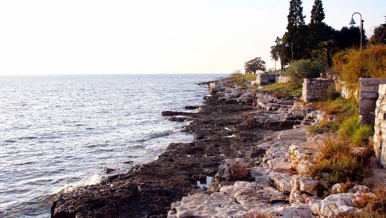 Photo of Others in Brtonigla