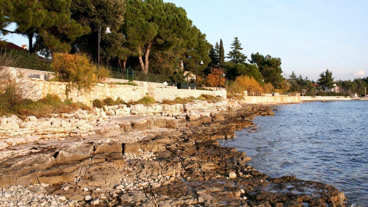 Photo of Others in Brtonigla