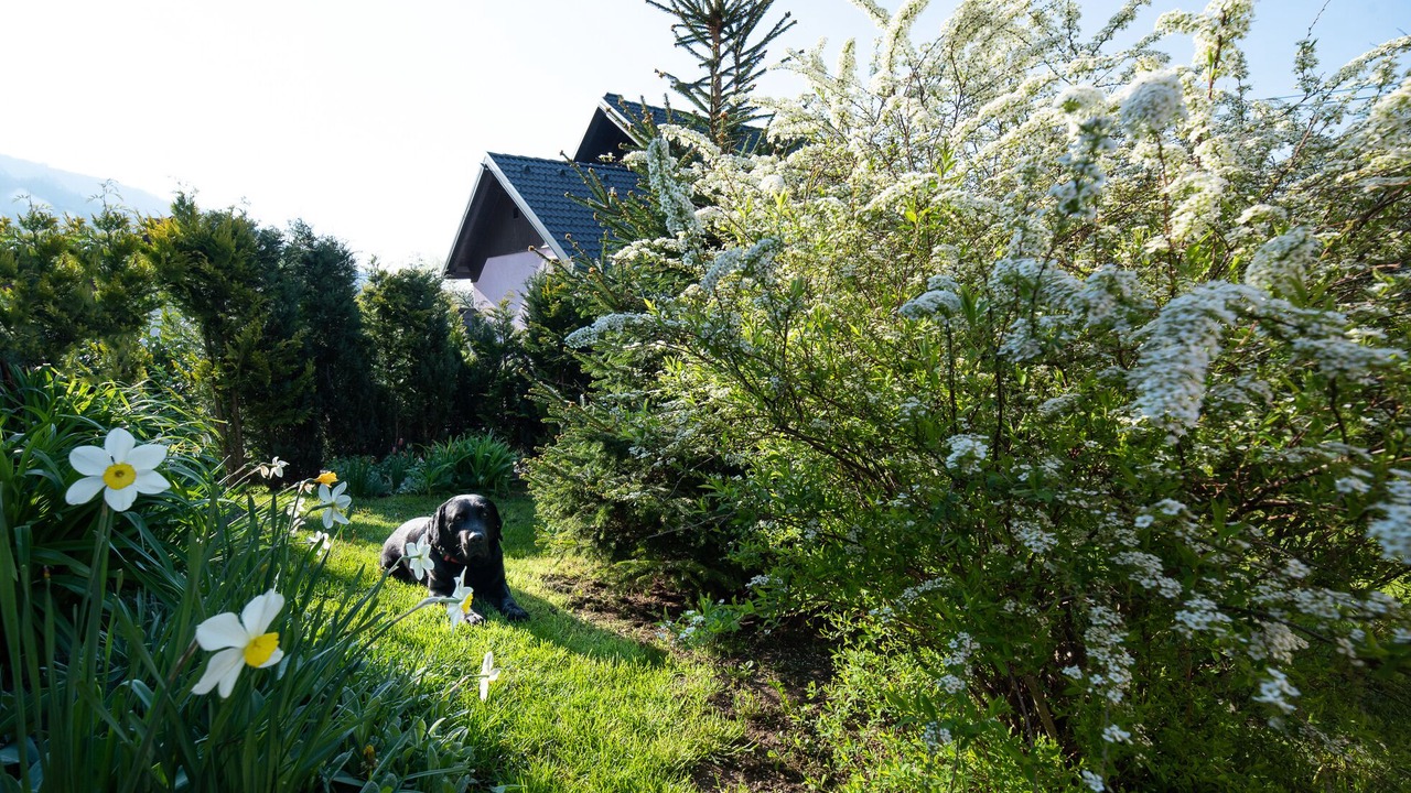 Photo of Outdoor in Zabreznica