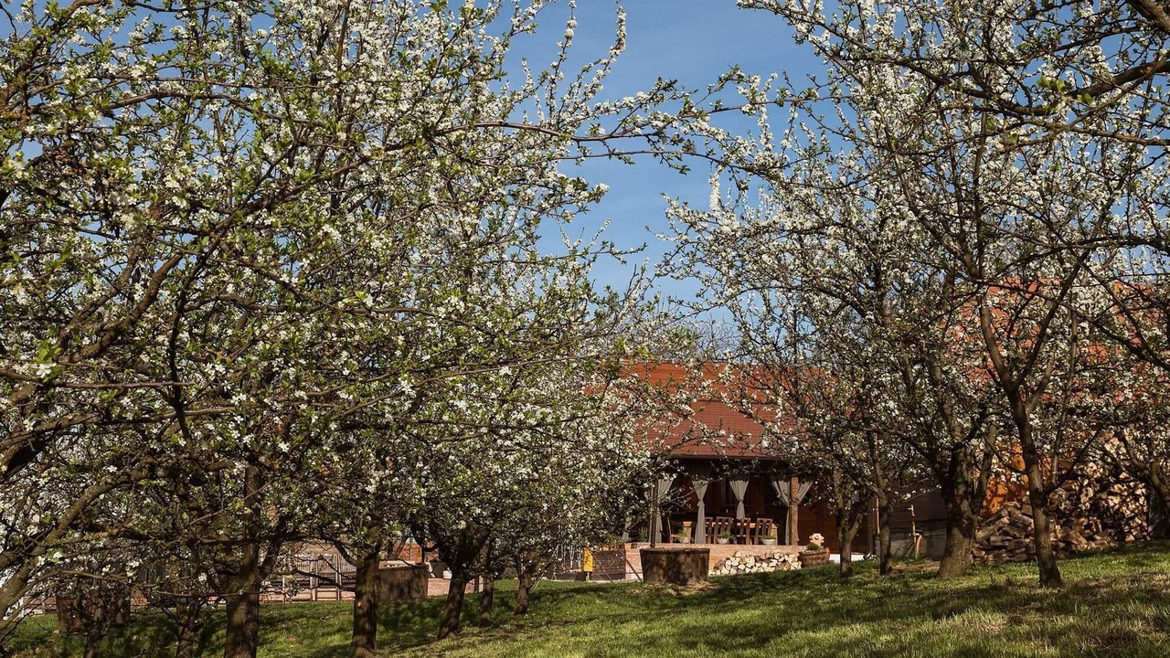 Photo of Outdoor in Sveti Juraj na Bregu