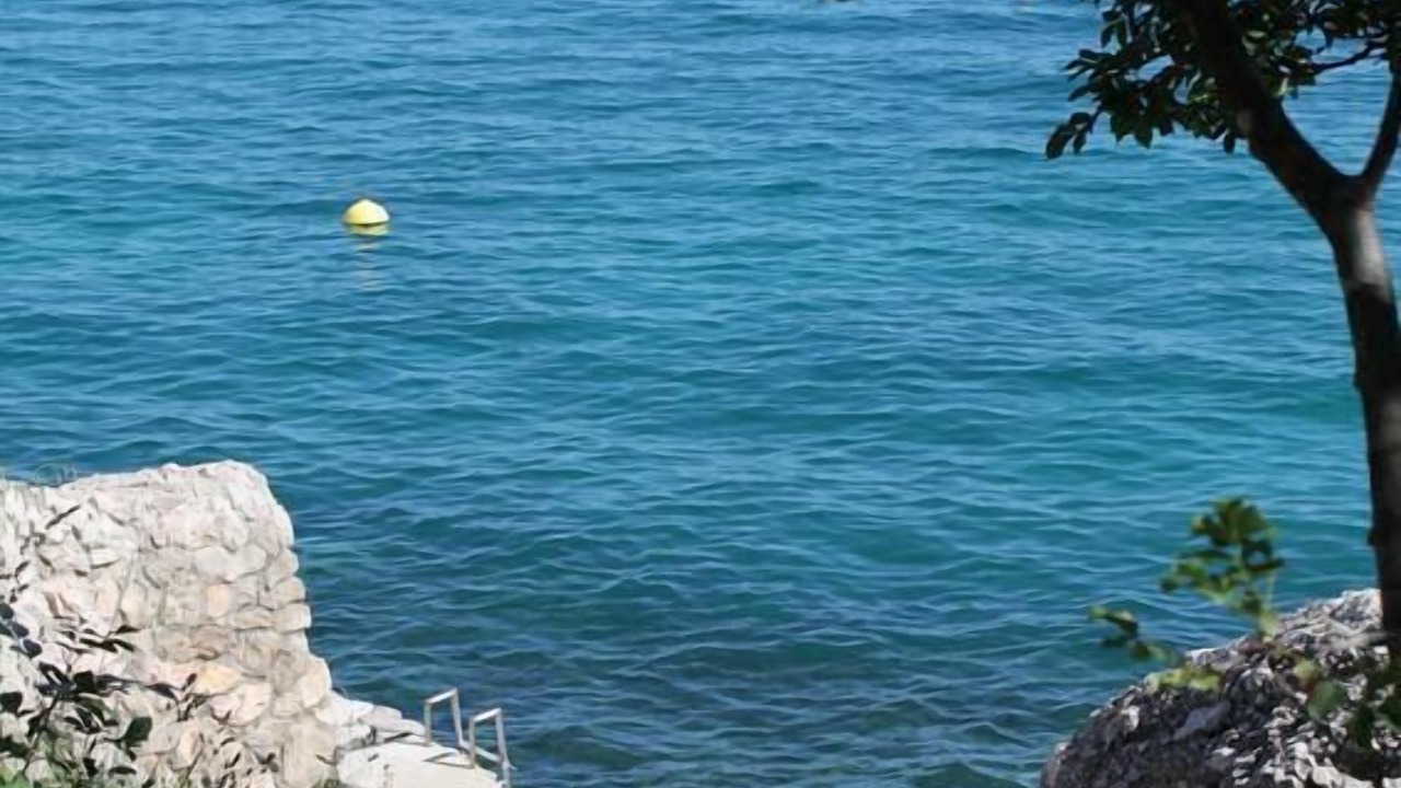 Photo of Others in Porat