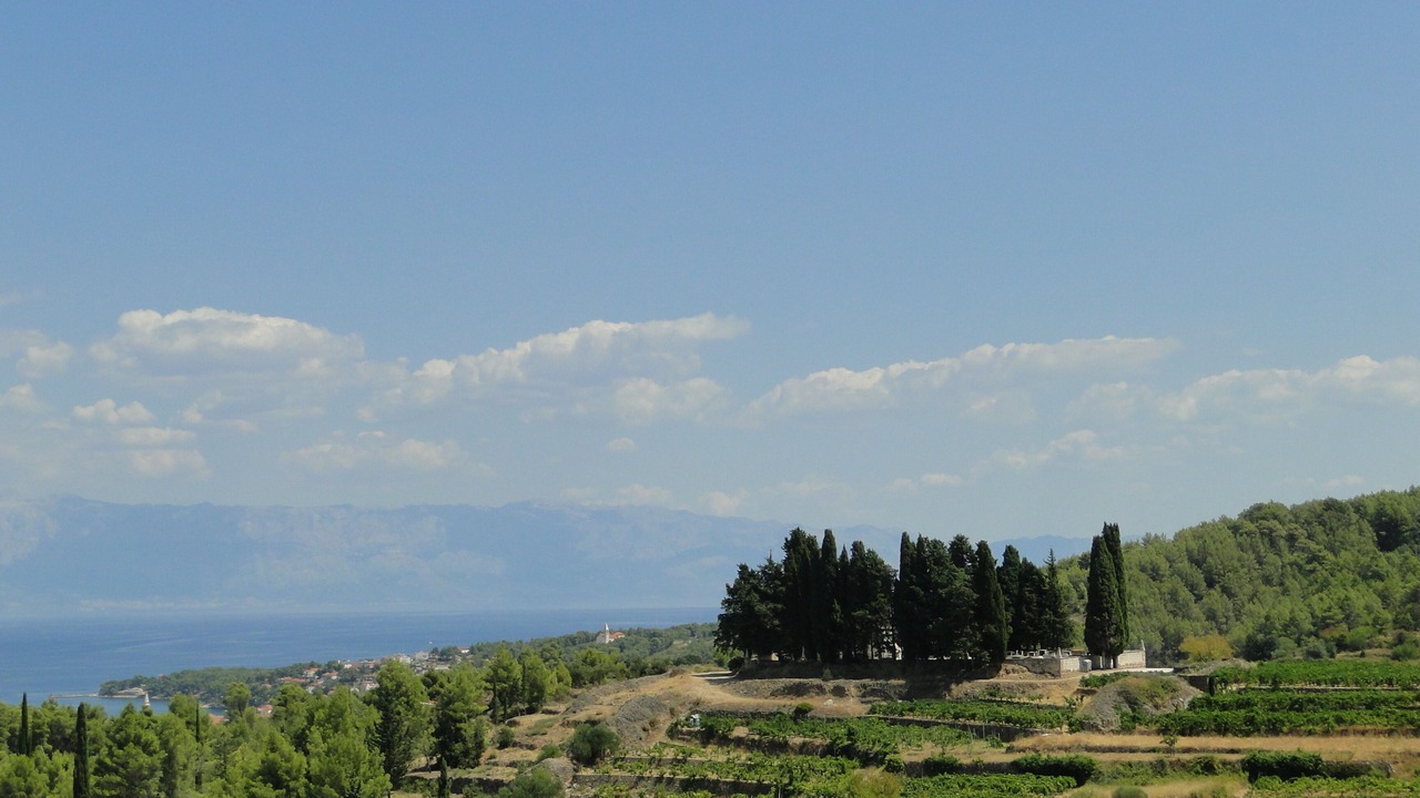 Photo of Outdoor in Pitve