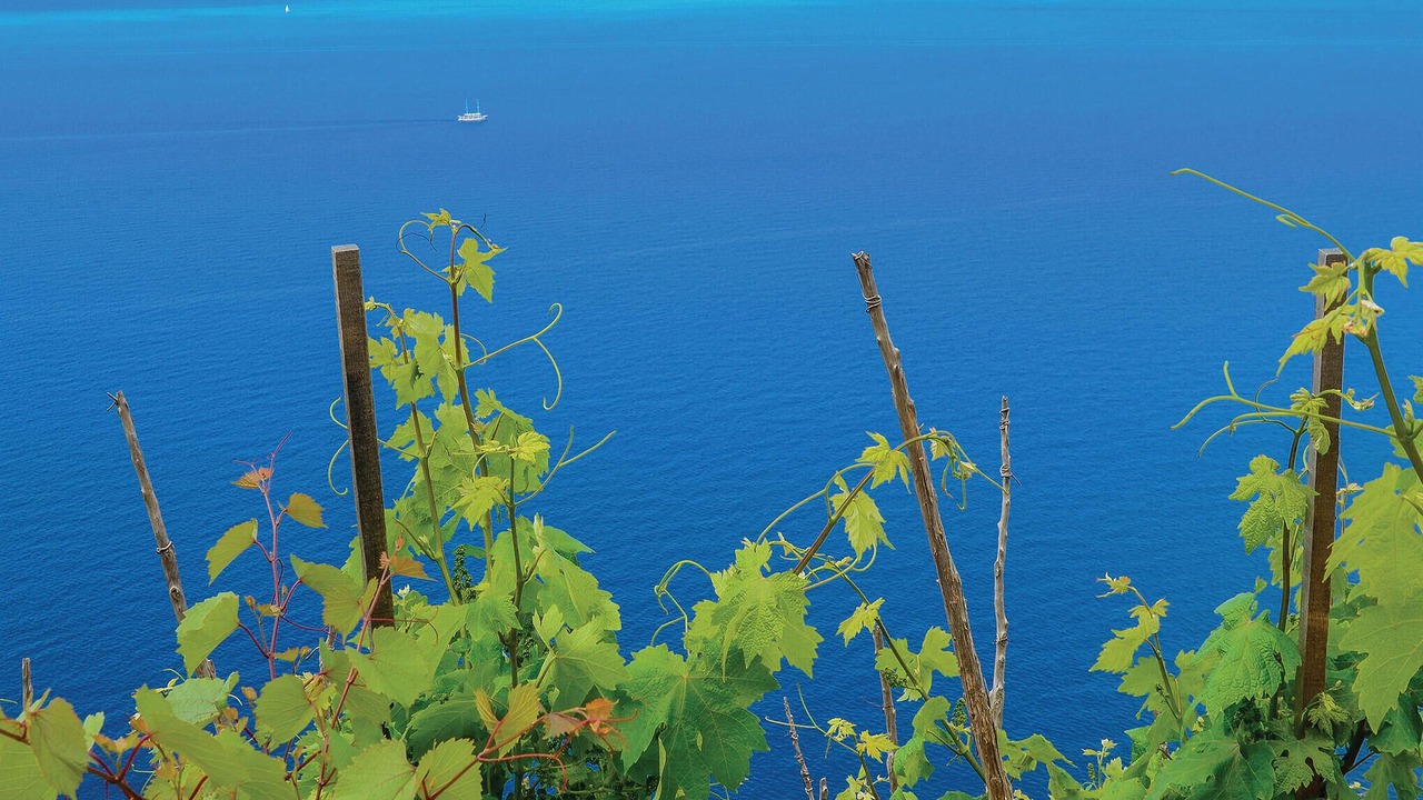Photo of Outdoor in Orebic