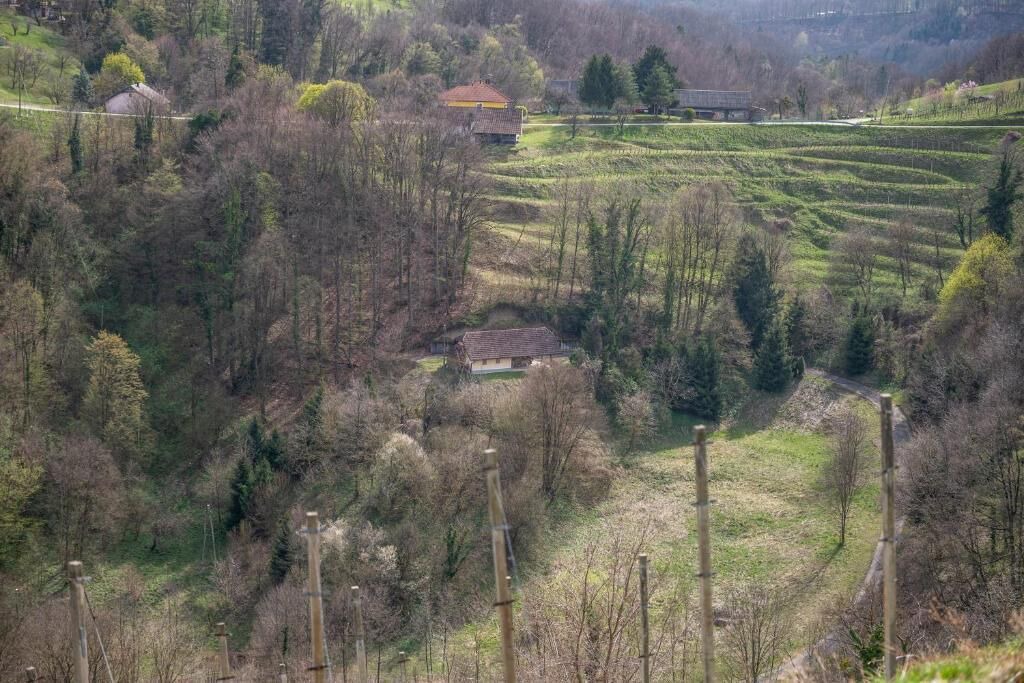 Photo of Outdoor in Zavrc
