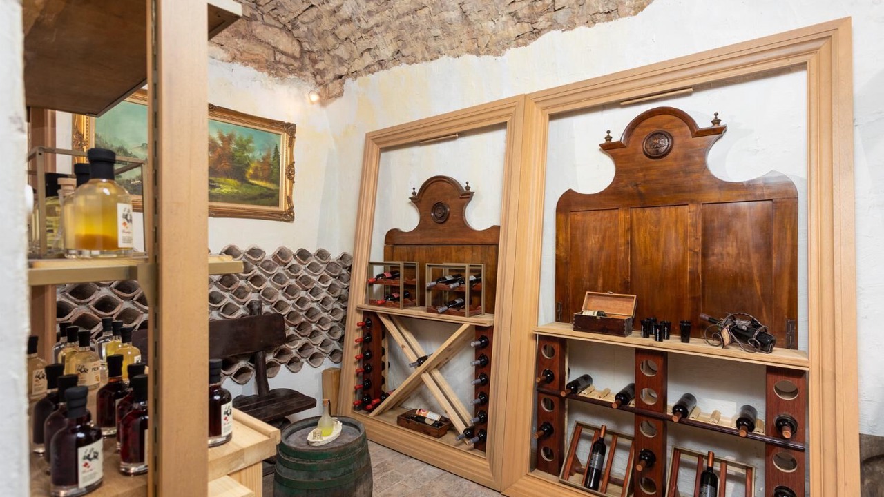 Photo of Others in Bicici