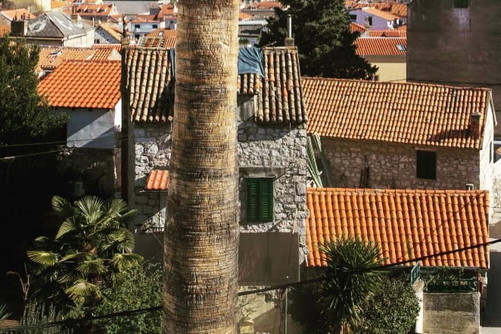 Photo of Outdoor in Citluk