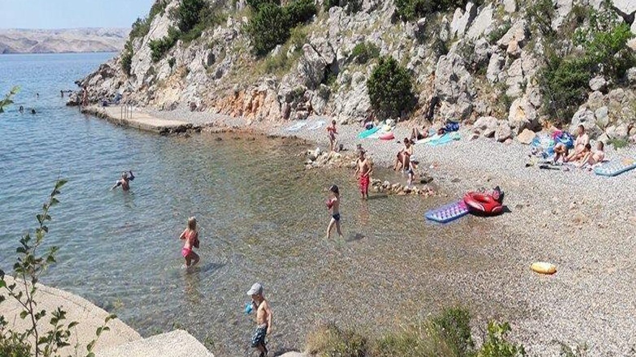 Photo of Others in Ribarica