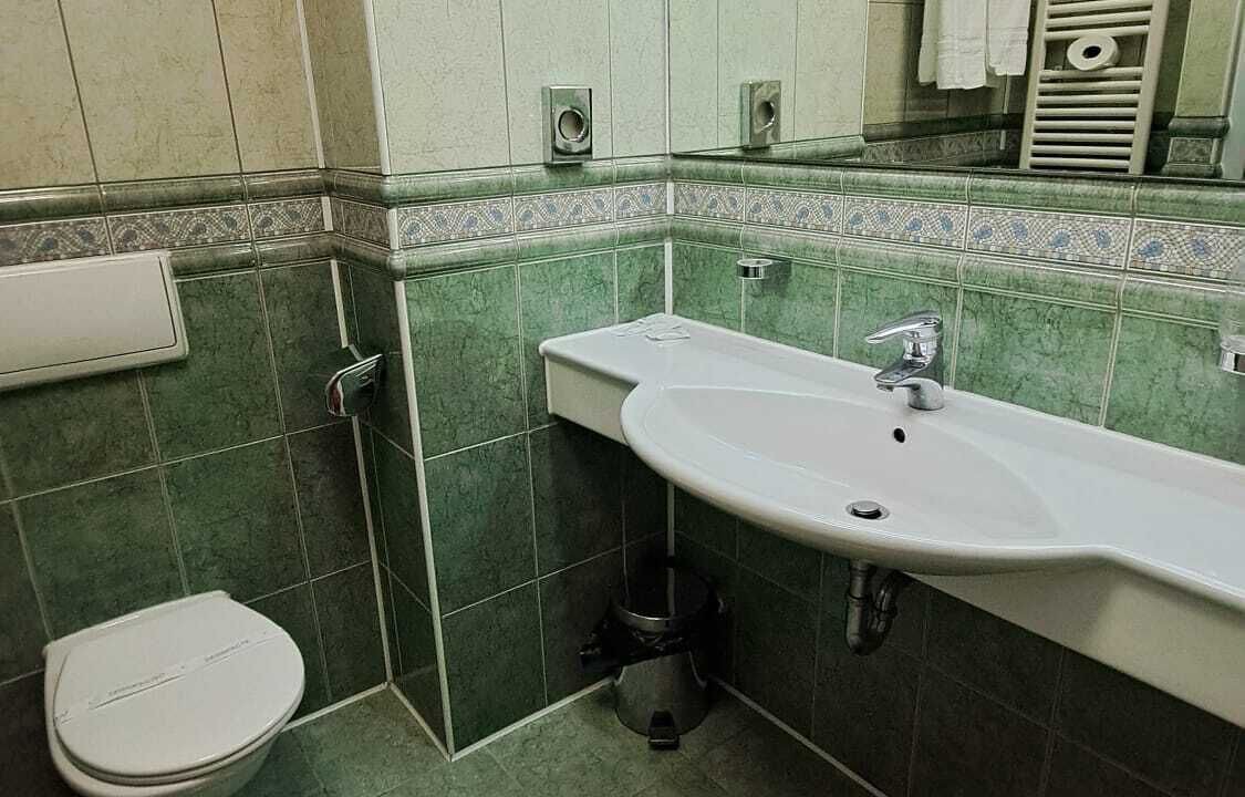Photo of Bathroom in Budureasa