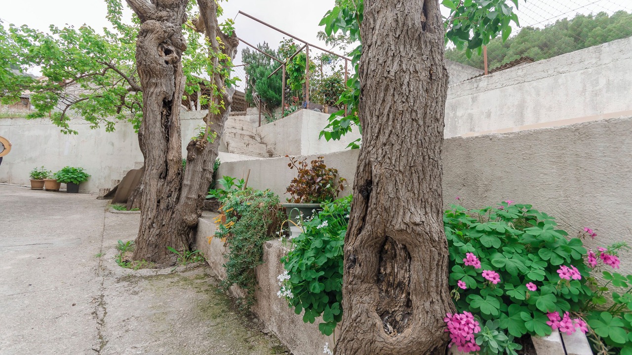 Photo of Outdoor in Skradin
