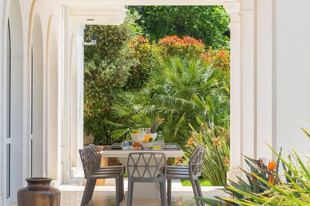 Photo of Outdoor in Trsteno