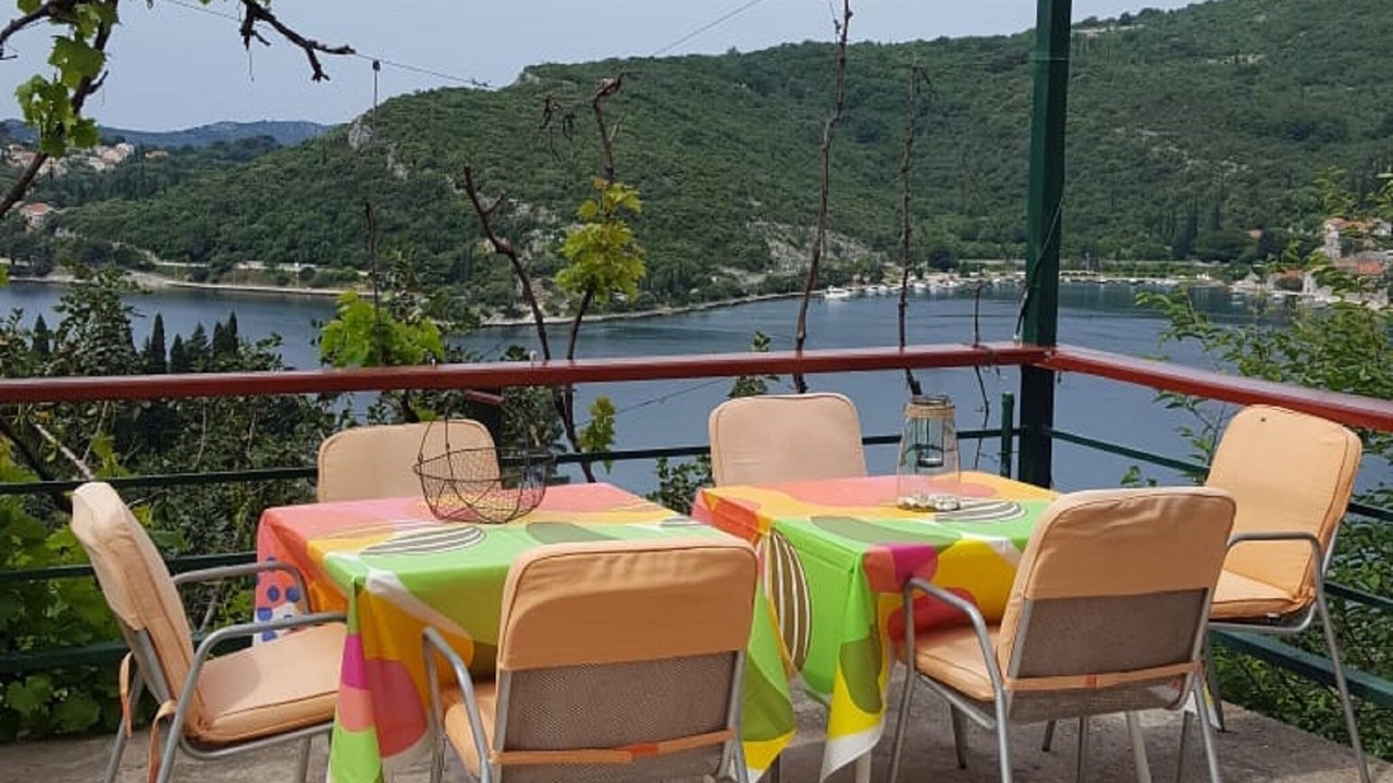 Photo of Others in Zaton