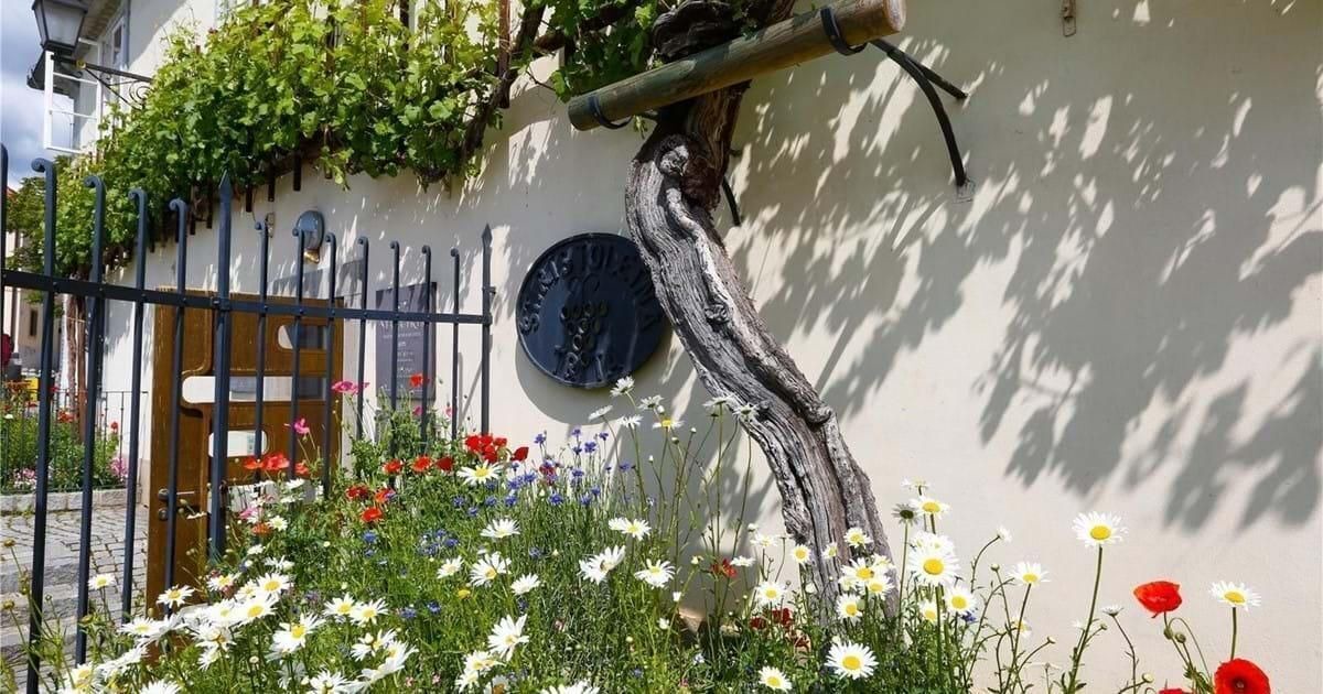 Photo of Outdoor in Sveti Tomaz