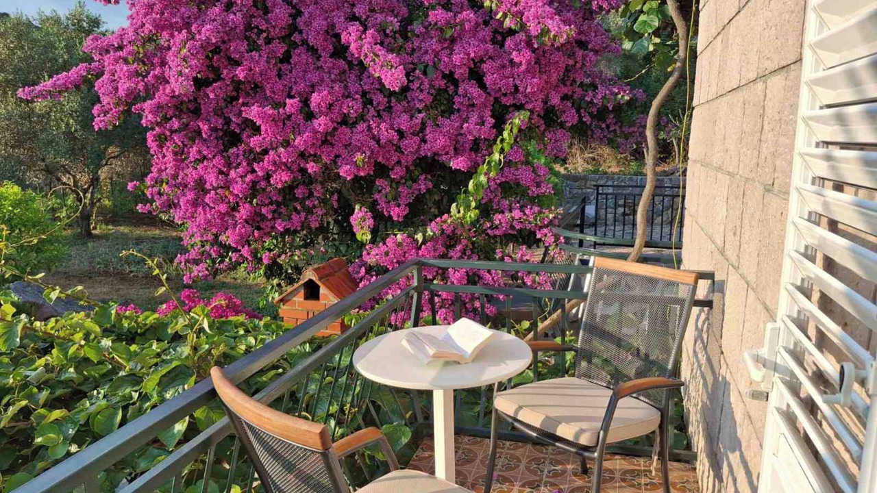 Photo of Patio Balcony in Molunat