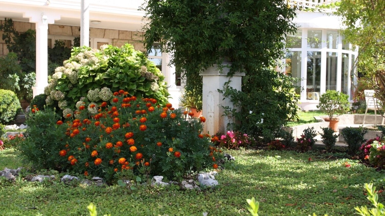 Photo of Outdoor in Mlini