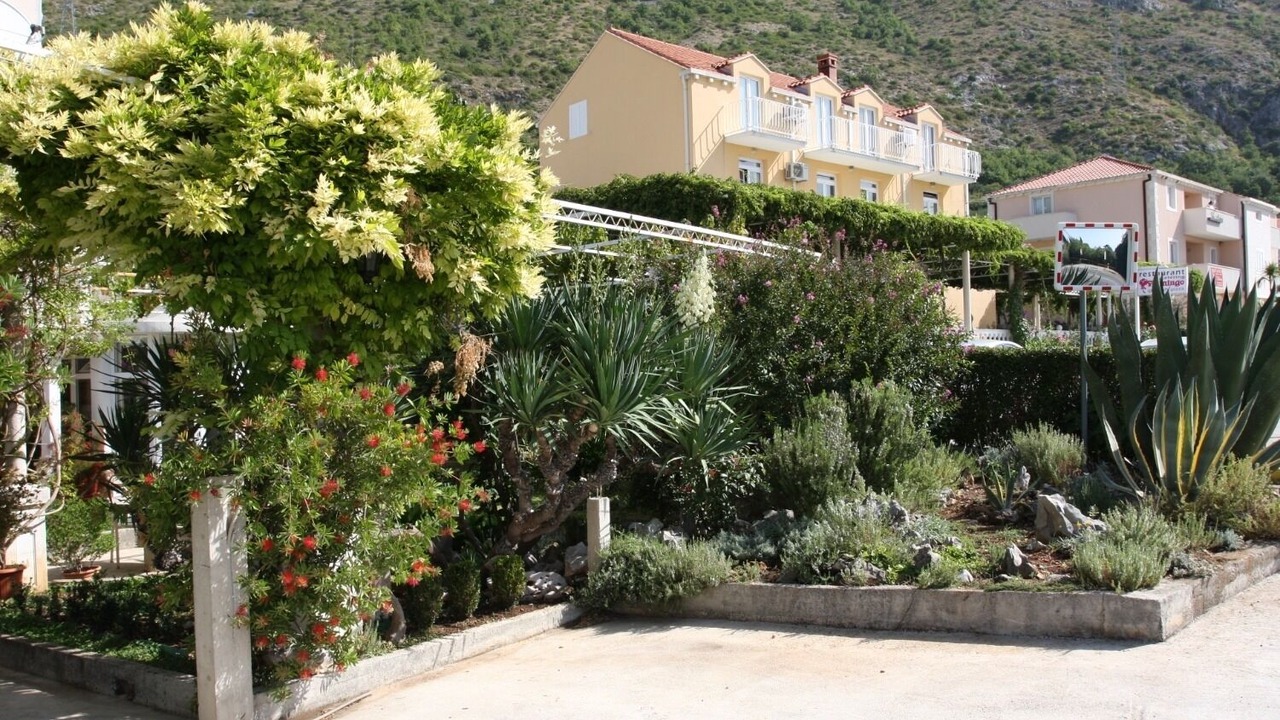 Photo of Outdoor in Mlini