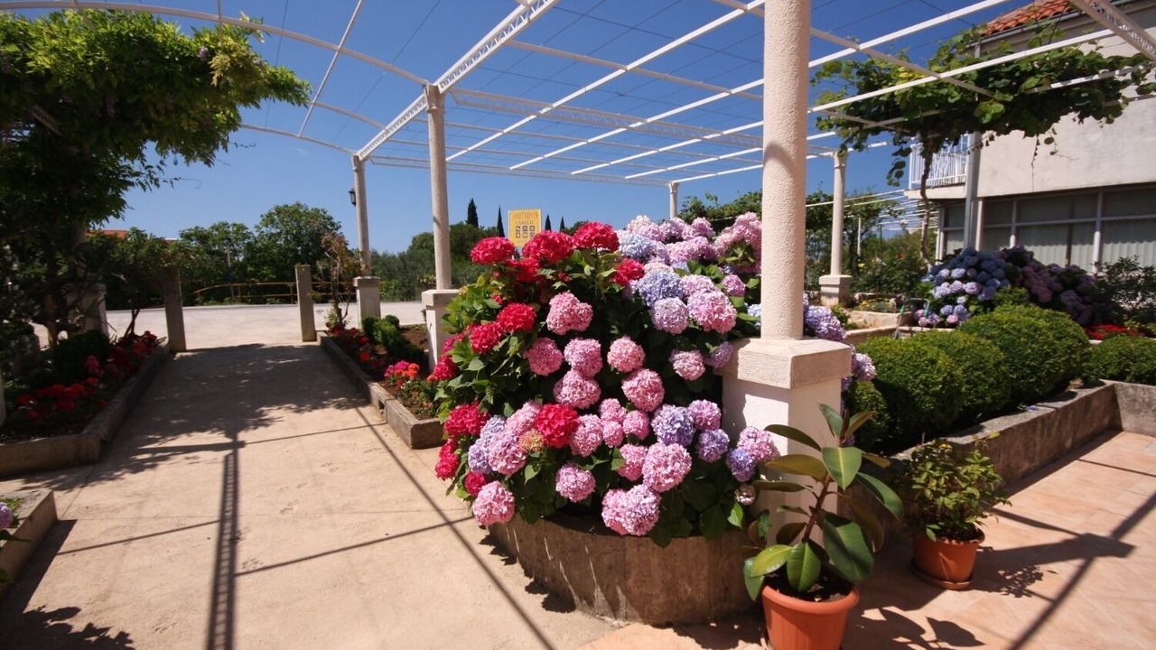 Photo of Outdoor in Mlini
