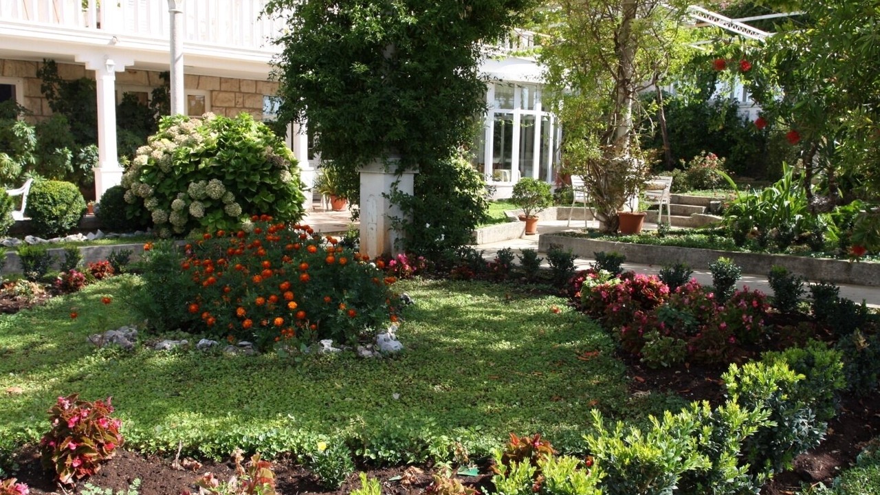 Photo of Outdoor in Mlini