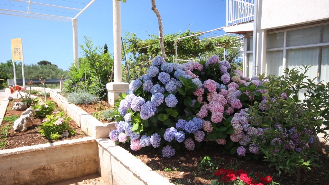 Photo of Outdoor in Mlini