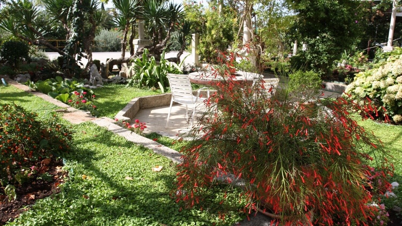 Photo of Outdoor in Mlini