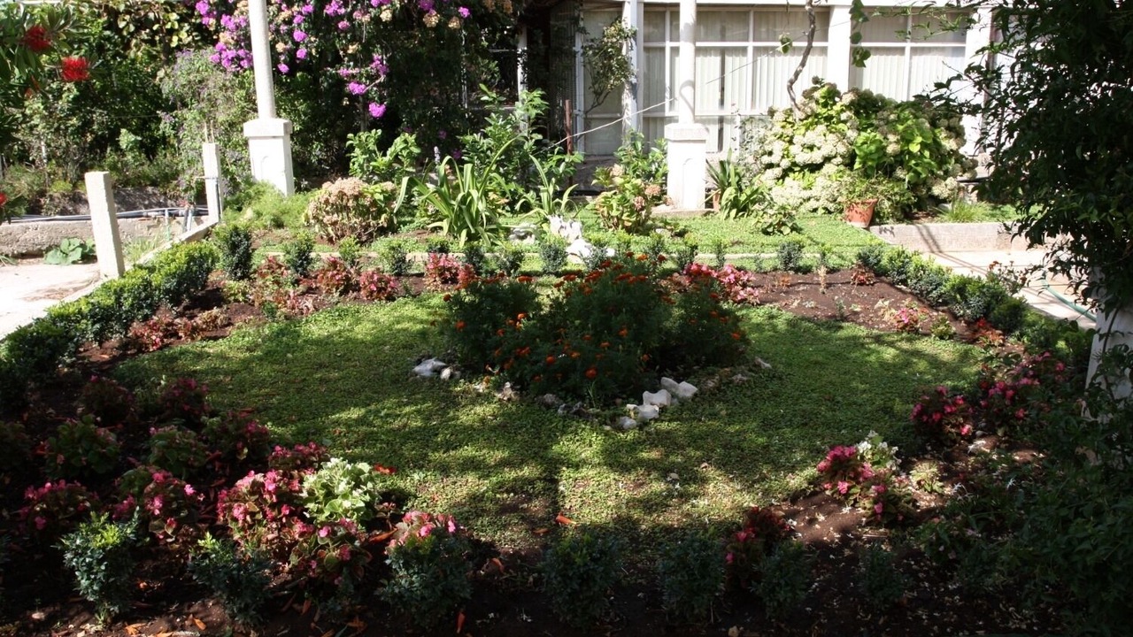 Photo of Outdoor in Mlini