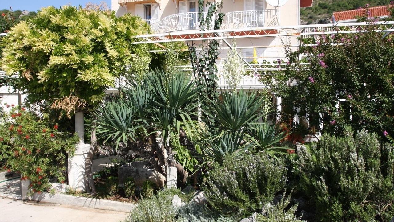 Photo of Outdoor in Mlini
