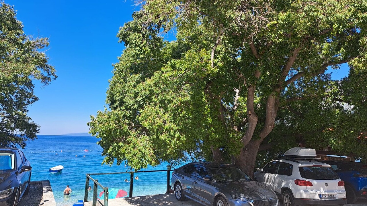 Photo of Others in Gradac