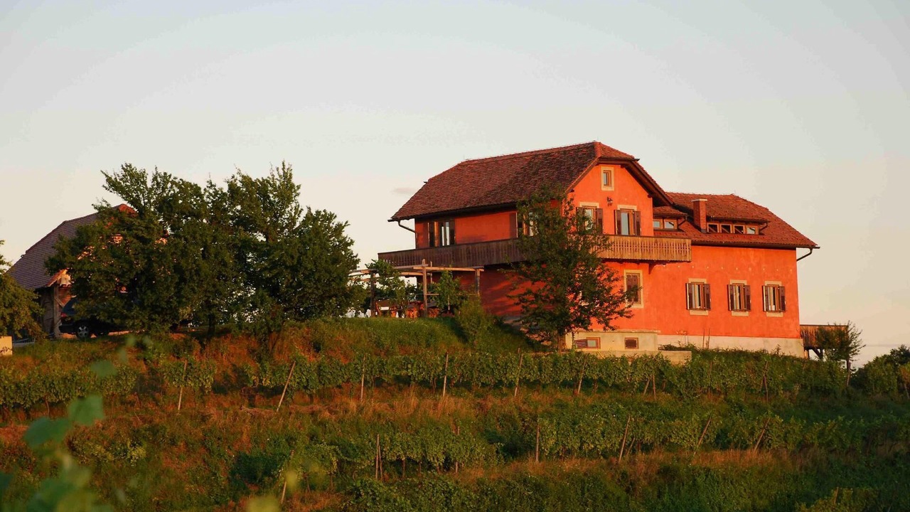 Photo of Outdoor in Videm