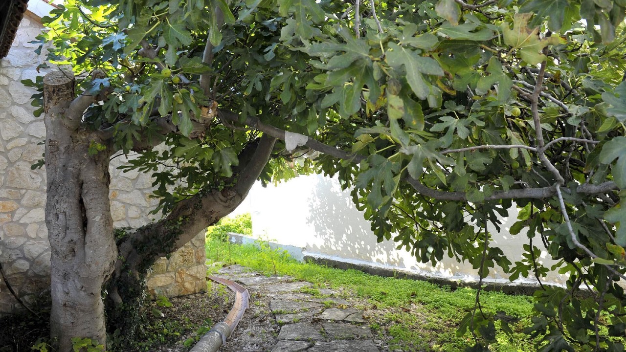 Photo of Outdoor in Dragove
