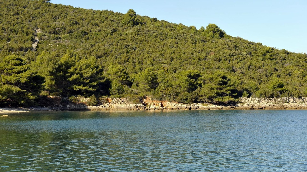Photo of Outdoor in Dragove