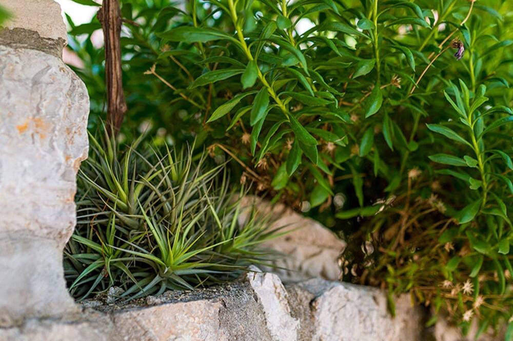 Photo of Outdoor in Ploce