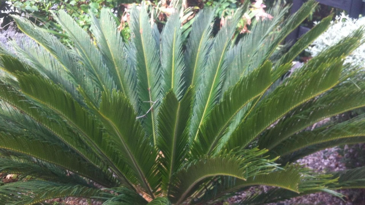 Photo of Outdoor in Kuciste