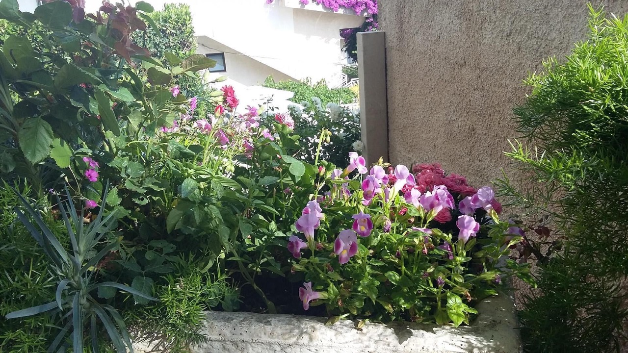 Photo of Outdoor in Bili brig