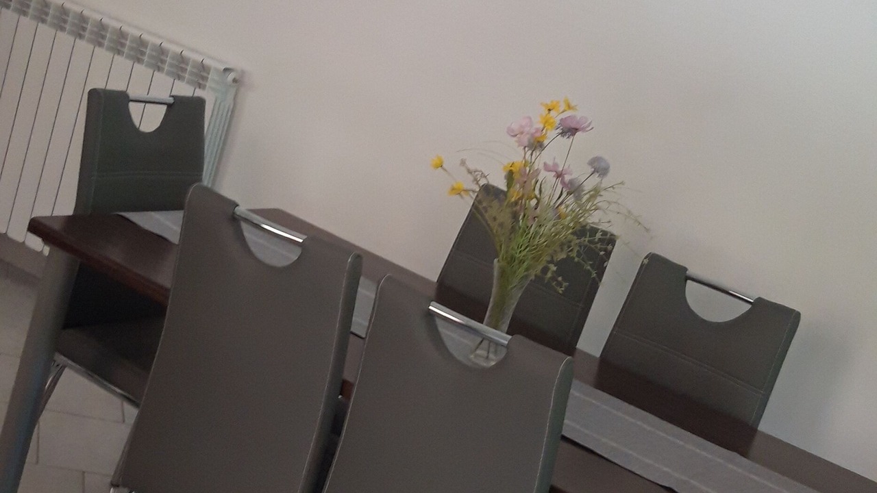 Photo of Kitchen in Snasici