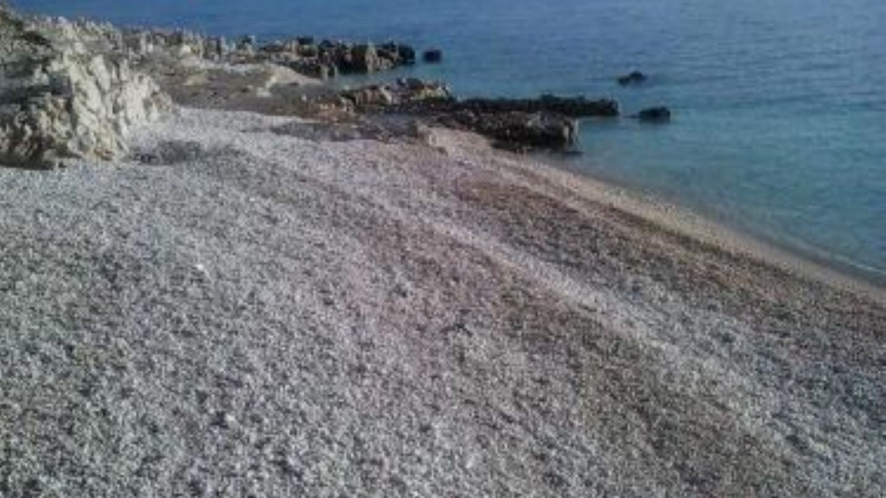 Photo of Others in Snasici