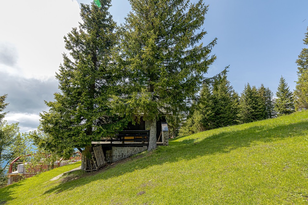 Photo of Outdoor in Slovenj Gradec