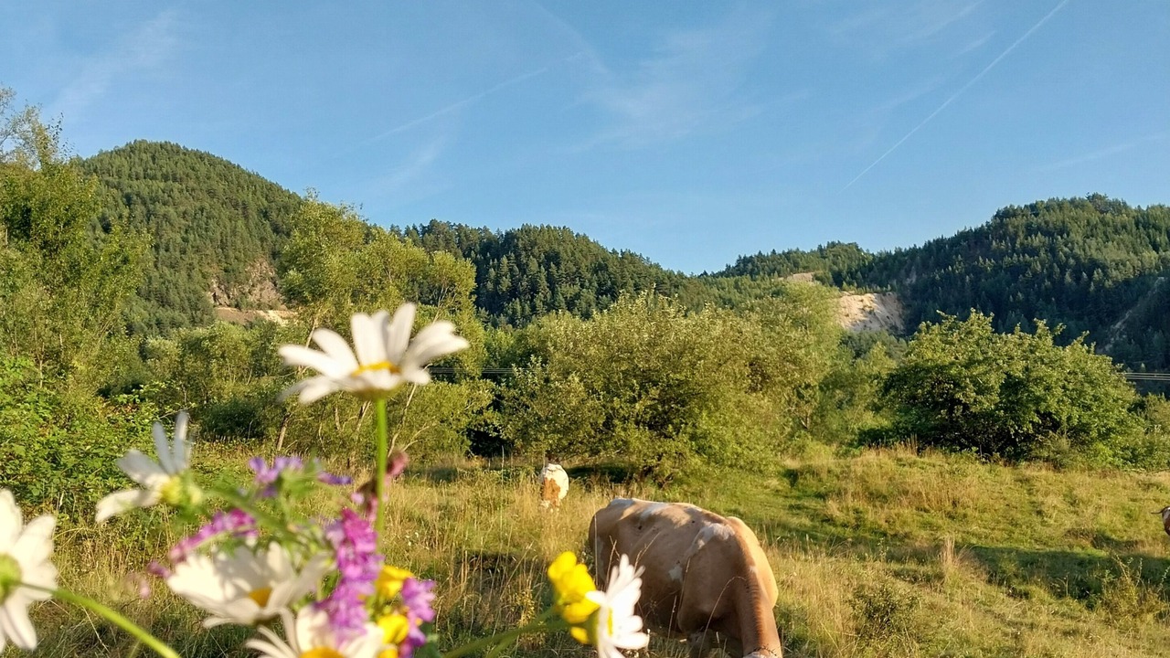 Photo of Outdoor in Tarina