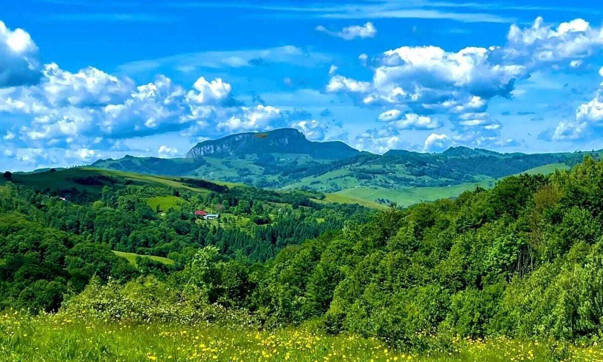 Photo of Outdoor in Tarina