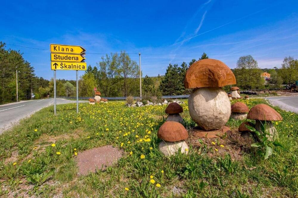 Photo of Outdoor in Klana