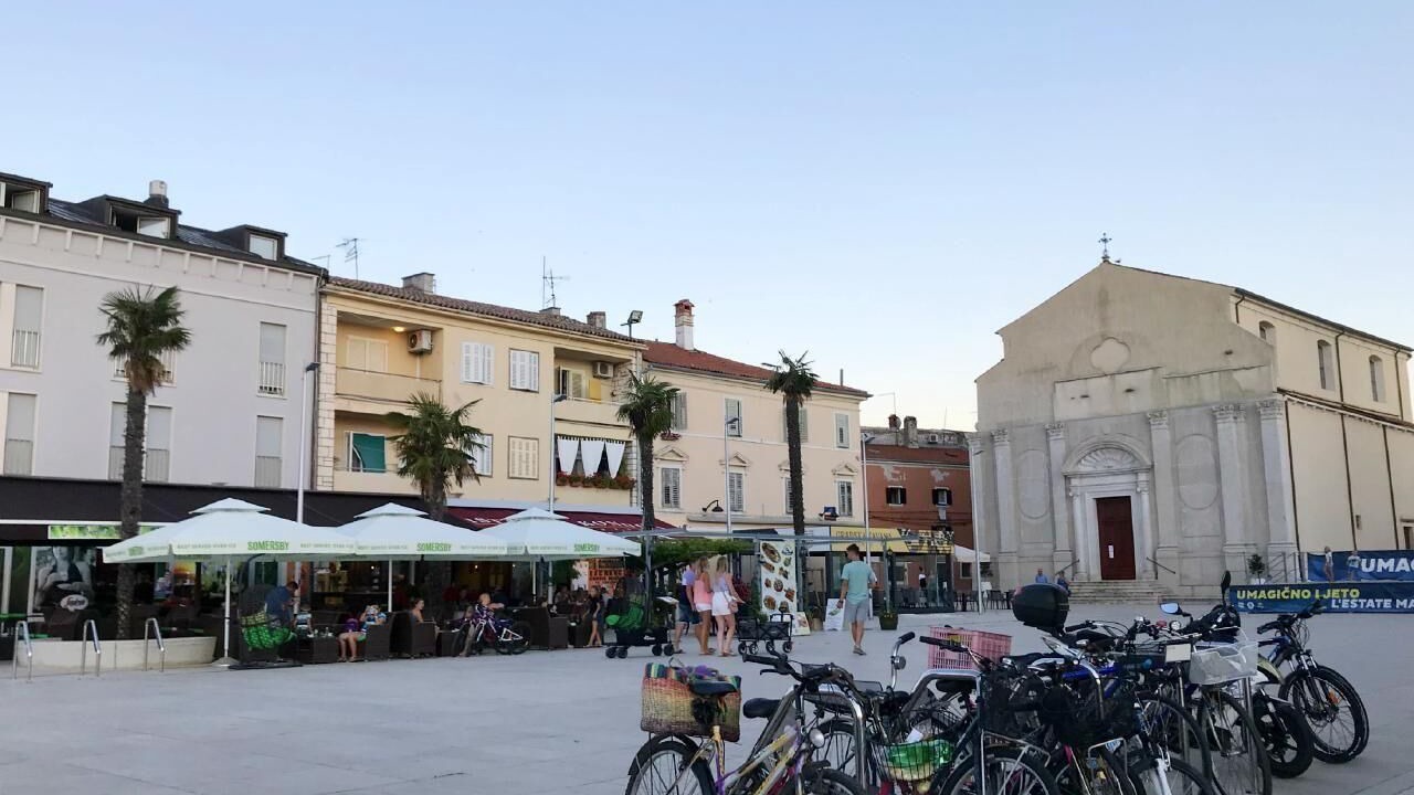 Photo of Outdoor in Murine
