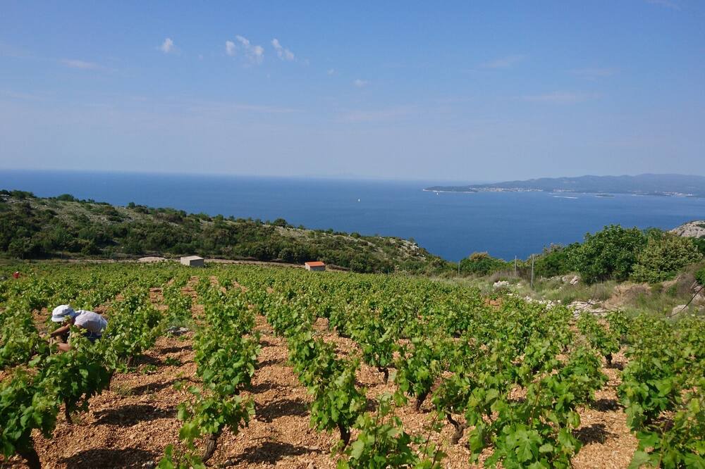 Photo of Outdoor in Donja Banda