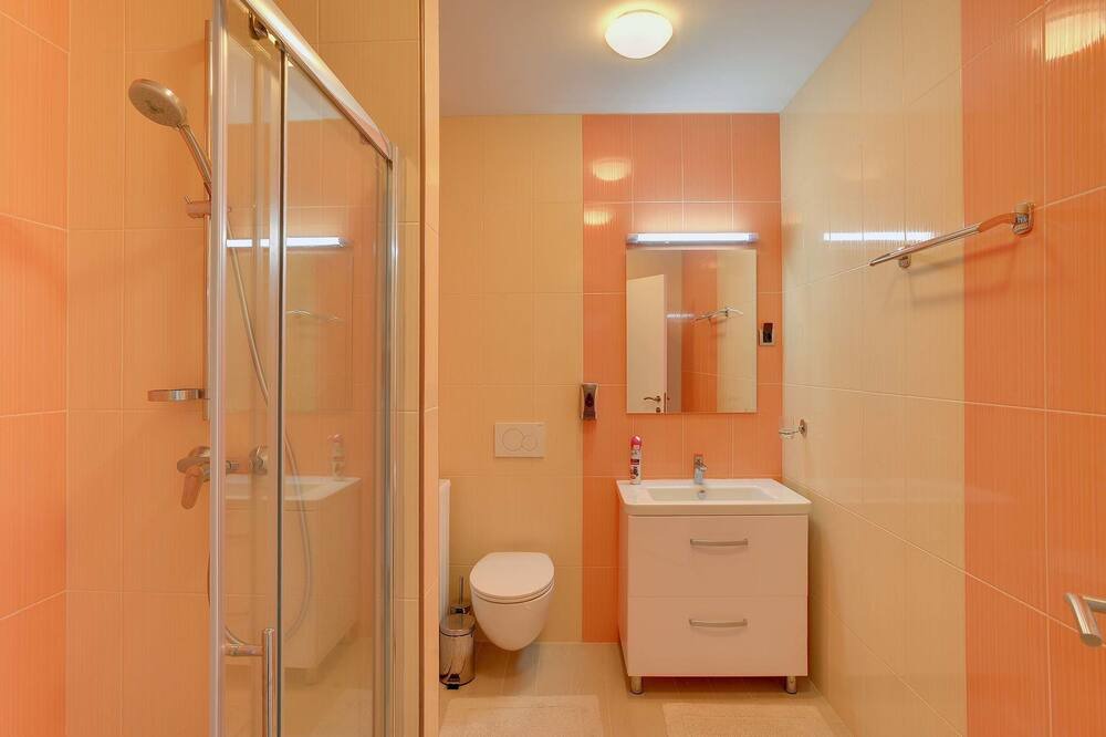 Photo of Bathroom in Medulin