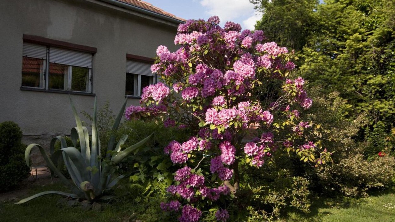 Photo of Outdoor in Municipality of Krizevci
